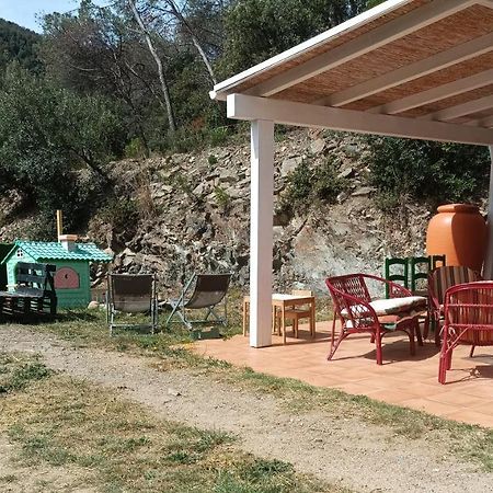 Cottage Eco-Friendly Barcelona Country Side La Garriga Eksteriør bilde