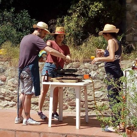 Cottage Eco-Friendly Barcelona Country Side La Garriga Eksteriør bilde