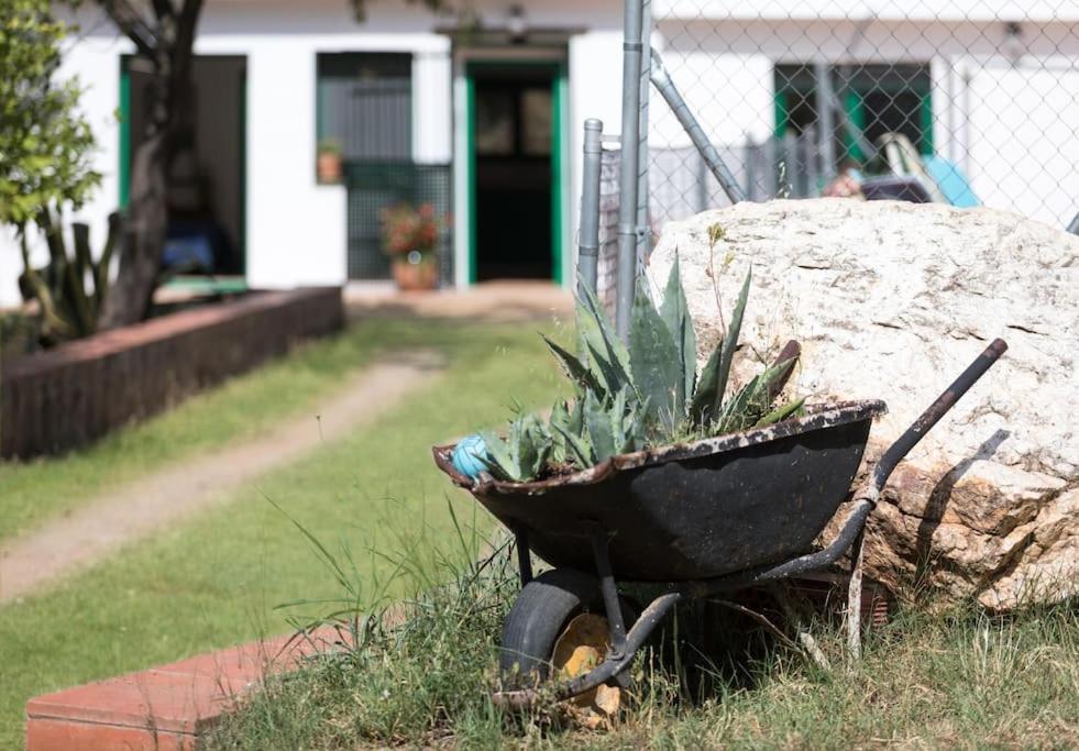 Cottage Eco-Friendly Barcelona Country Side La Garriga Eksteriør bilde