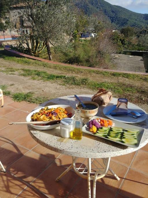 Cottage Eco-Friendly Barcelona Country Side La Garriga Eksteriør bilde