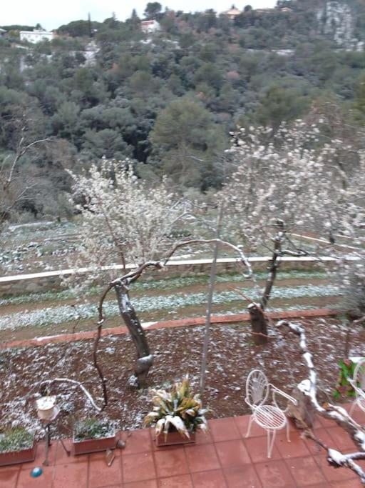 Cottage Eco-Friendly Barcelona Country Side La Garriga Eksteriør bilde